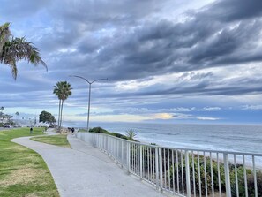 A coastal walkway with a metal railing, palm trees, and a view of the ocean.