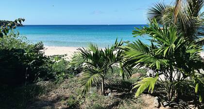 Breathtaking beachfront views with tropical white sand beach 10 steps away