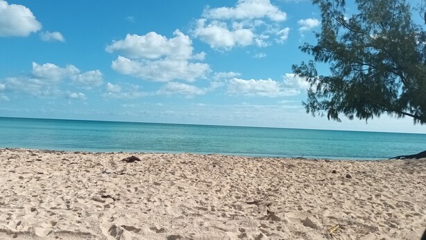Une plage de sable, un ciel bleu dégagé et un arbre sur la droite.