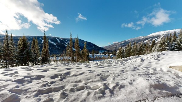 A snowy mountain landscape with dense evergreen trees and a clear blue sky.