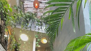 Un escalier en pierre, bordé de plantes luxuriantes et de lianes retombantes, mène à un niveau supérieur.