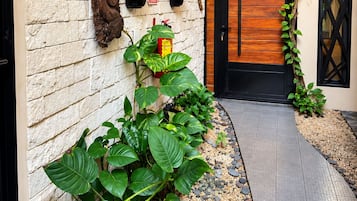 Un muro de ladrillo con macetas y una puerta de madera.