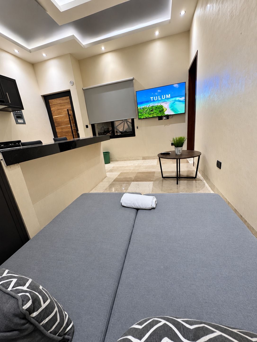 Una habitación de hotel moderna con una cama, un televisor, una mesita con una planta y un mostrador de recepción.