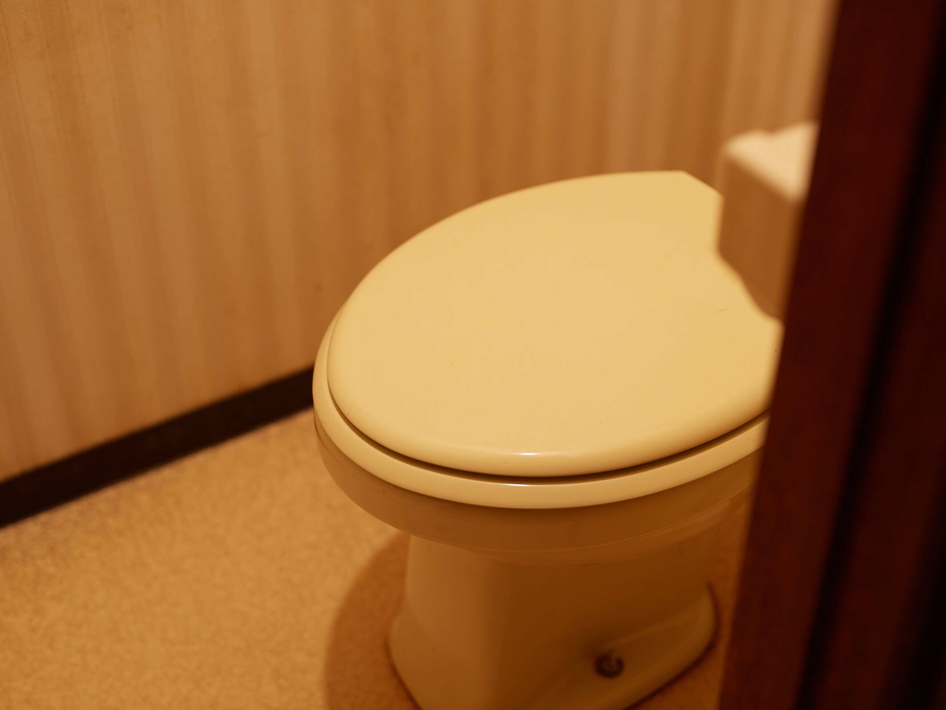 Des toilettes avec un abattant fermé, dans une salle de bain dont le papier peint est à rayures.