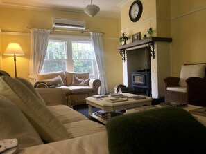 Smart TV, fireplace, books