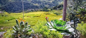 Tìm đến sự yên bình, hoà mình vào thiên nhiên và cuộc sống người bản địa Sa Pa