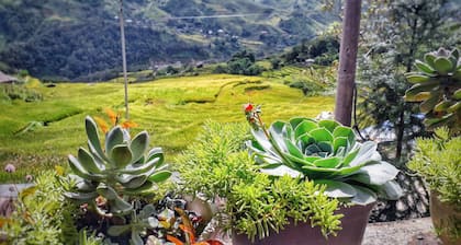 Tìm đến sự yên bình, hoà mình vào thiên nhiên và cuộc sống người bản địa Sa Pa