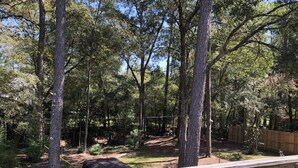 Une zone boisée avec un sentier de terre, une clôture en bois et un véhicule noir partiellement visible.