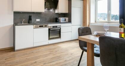 Geräumige Wohnung im Ski- und Wandergebiet