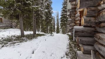 Un sendero cubierto de nieve que lleva a una cabaña de troncos rodeada de árboles de hoja perenne.