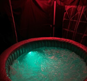 Interior - Luis Vuitton Versace  Jacuzzi DancePole pool table (College Park)