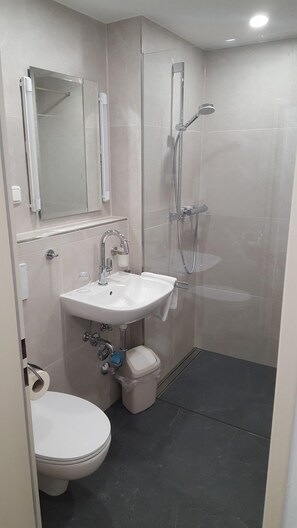 Dusche, Haartrockner, Handtücher