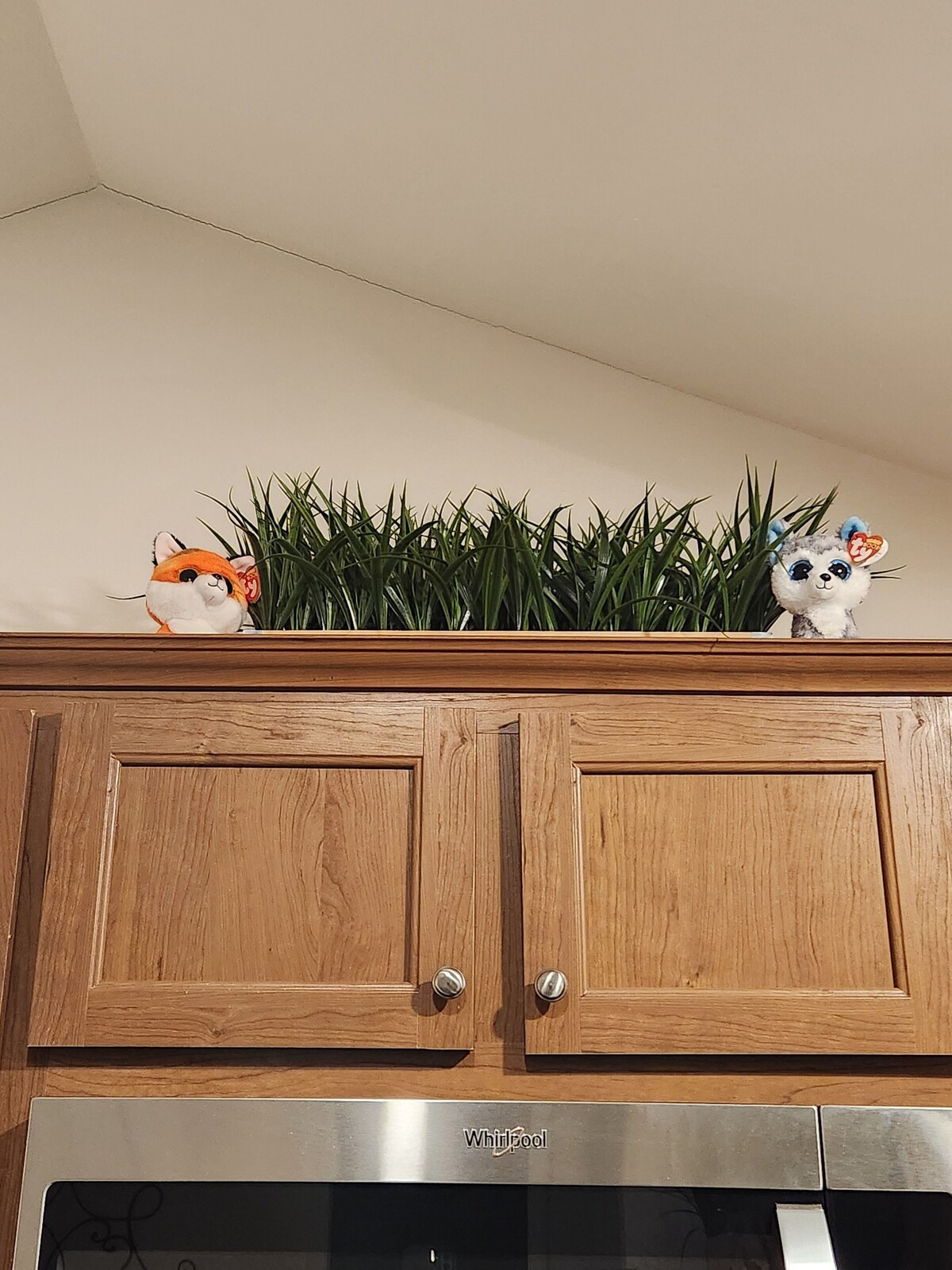 Imagen de perfil del propietario o de la propietaria