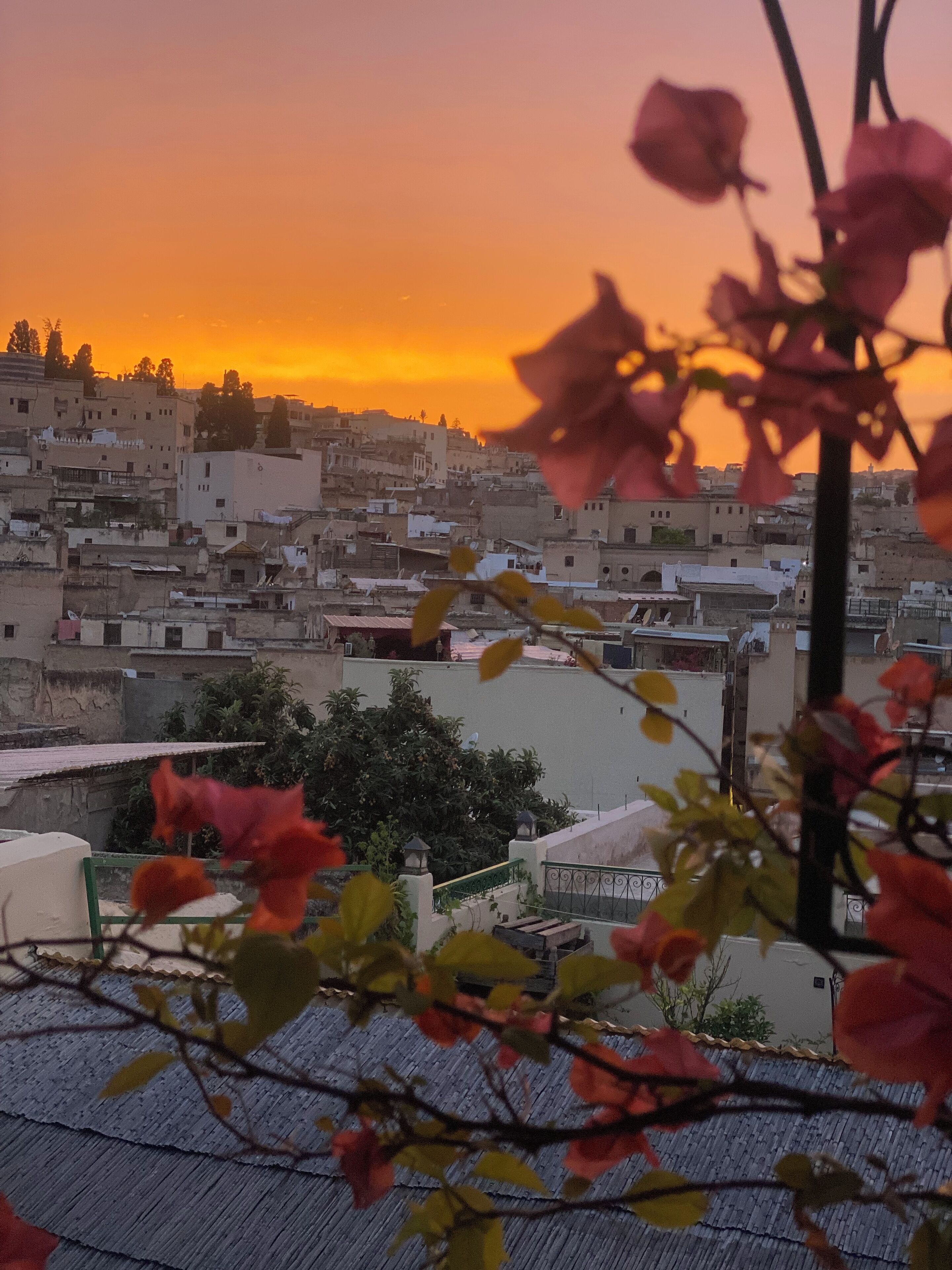 Photo - Riad Taj Salma