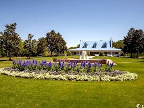 Property grounds - Newly Renovated 3bd/2ba condo located on True Blue Golf Club (Pawleys Island)