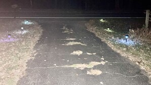 A nighttime view of a road with patches of grass and debris on the sides.