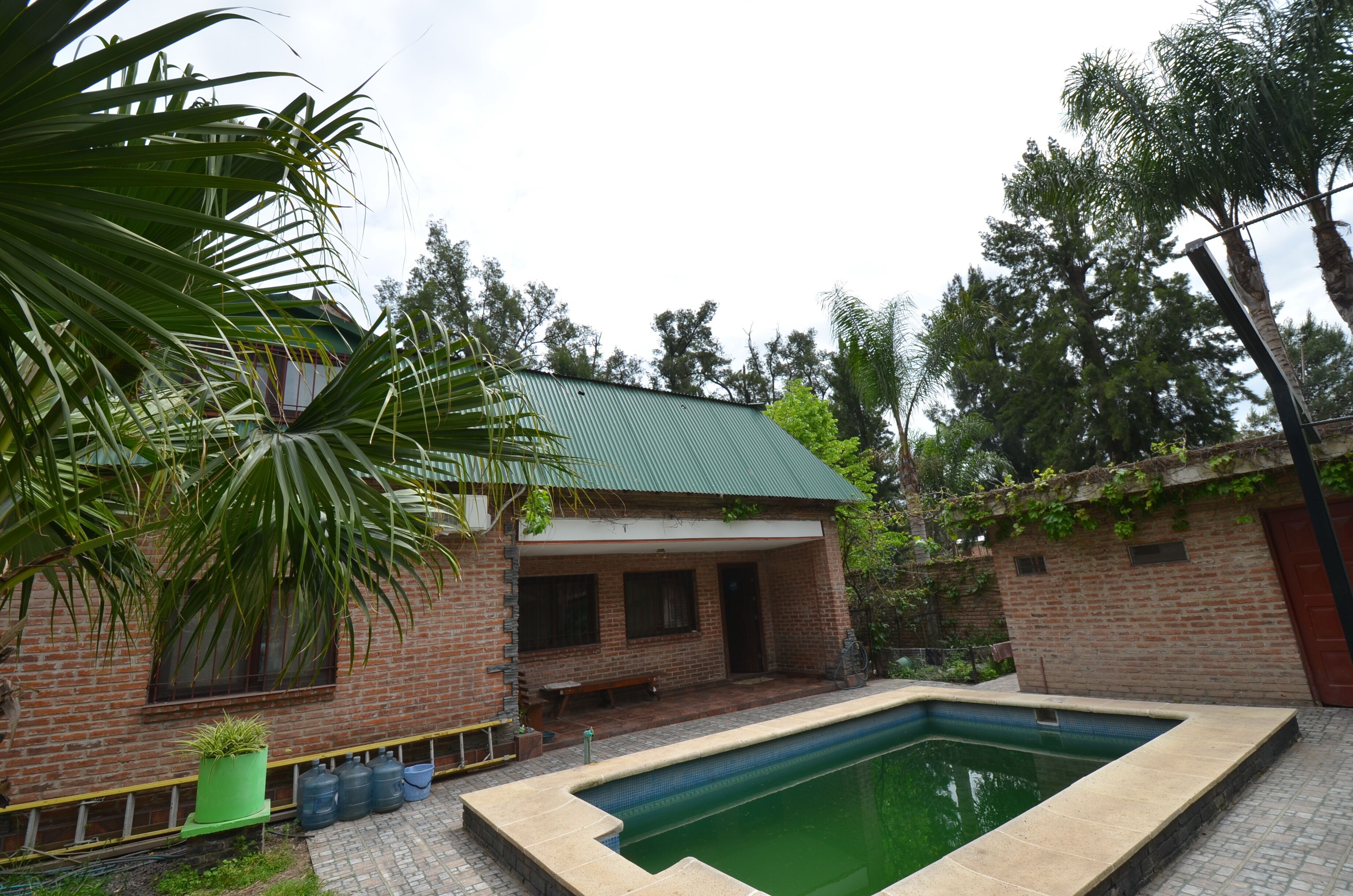 Une maison en briques avec un toit végétalisé, une piscine et de la verdure tout autour.