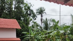 A covered patio area with a tiled floor, a small building with a red roof, and lush tropical vegetation including banana trees.