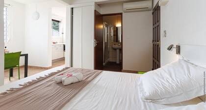 Studio 103 - L'Oiseau de Paradis