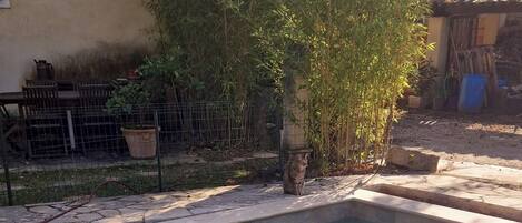 Piscina all'aperto