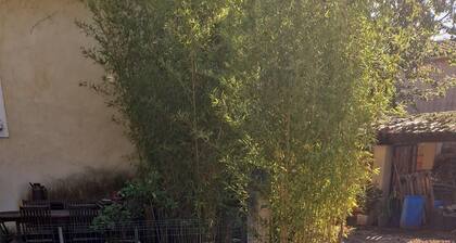 Maison Provençale Avec Jardin et Terrasses sur Terrain Privatif