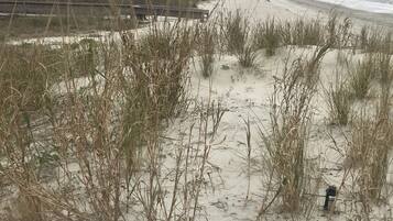 Sun loungers, beach towels