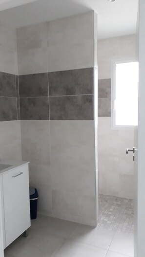 Ducha, secador de pelo, jabón