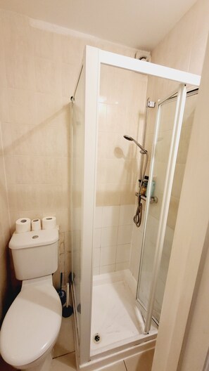 Douche, sèche-cheveux, serviettes fournies, papier toilette