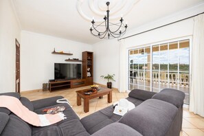 TV, fireplace, ping pong, books