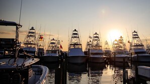 Puerto deportivo
