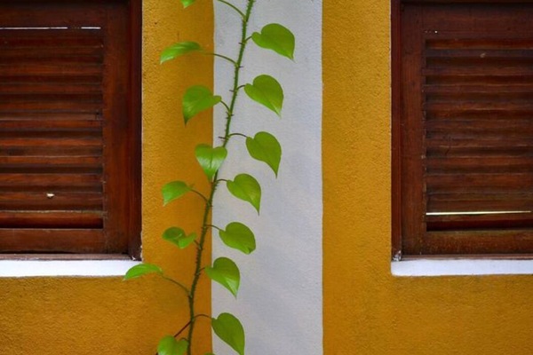 Außendetails