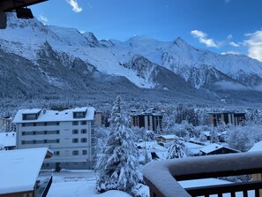 Property grounds - Rent superb chalet apartment facing Mont Blanc duplex 135m ² 8 pers (Chamonix-Mont-Blanc)