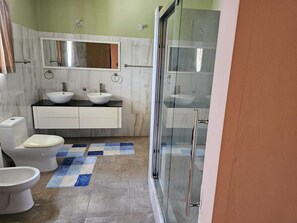 Shower, bidet, towels, soap