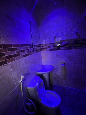 Bidet, serviettes fournies, savon, papier toilette