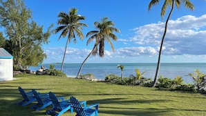 A grassy area with blue Adirondack chairs and palm trees by a body of water. - Slice of paradise experience on 3rd largest reef in the world. Fish & Snorkeling (Mangrove Cay)