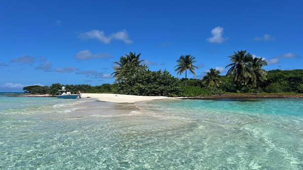 A clear turquoise sea with a boat near the shore, a sandy beach, and palm trees in the background. - Slice of paradise experience on 3rd largest reef in the world. Fish & Snorkeling (Mangrove Cay)