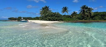 Tranquility Blue: Private island experience. 20 yards from ocean. 