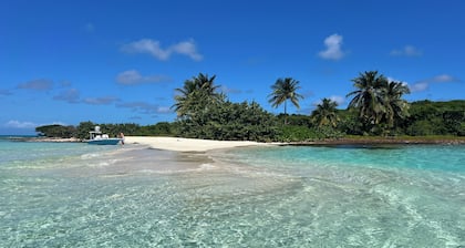 Tranquility Blue: Private island experience. 20 yards from ocean.