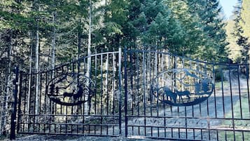 A metal gate with intricate cut-out designs, surrounded by a gravel path and dense forest.