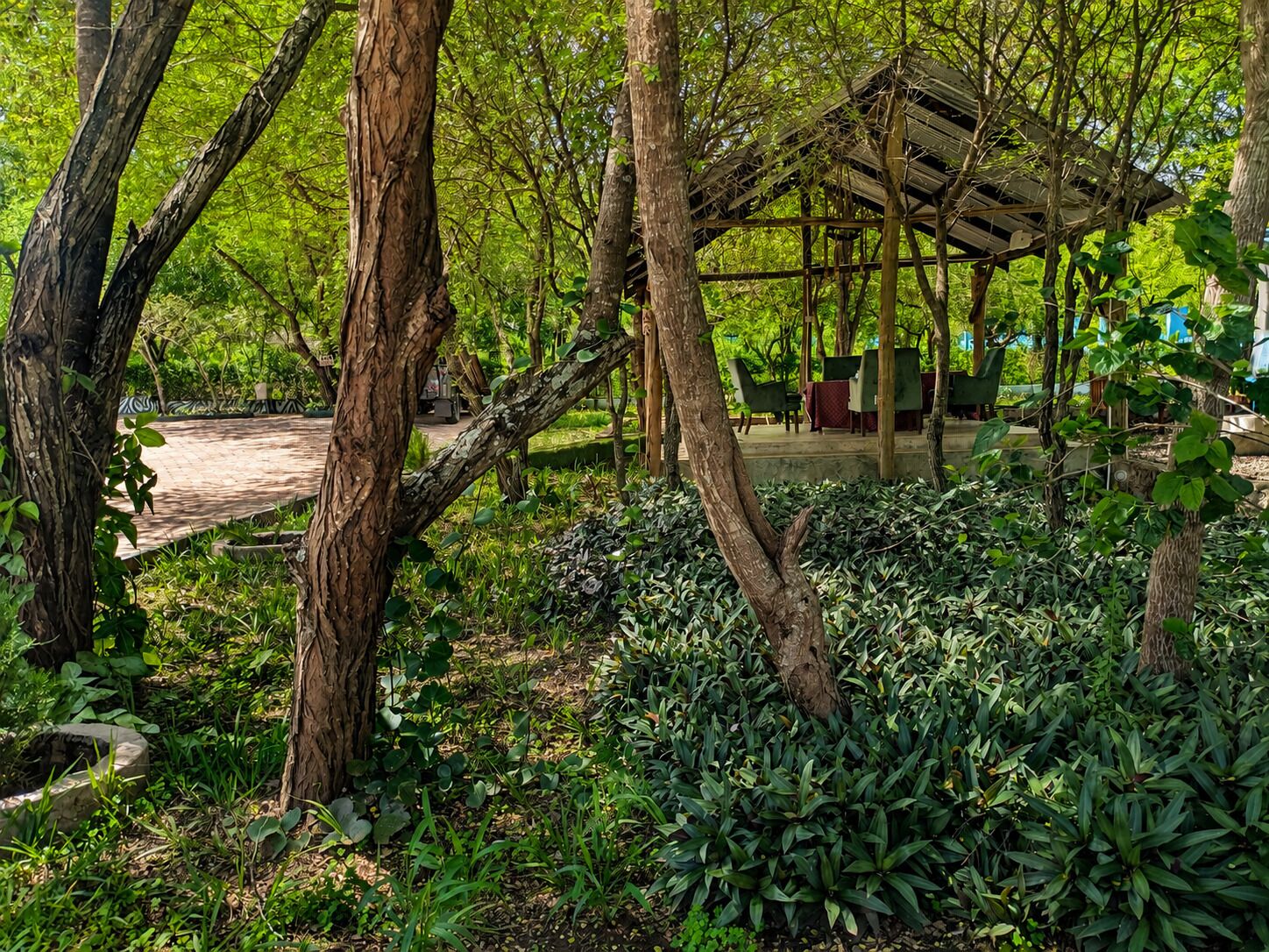 Un área de estar al aire libre con techo, mesas y sillas, rodeada de abundante vegetación y árboles.