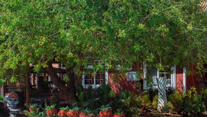 A garden with a tree, a brick building, and a parked vehicle. - Mkomazi Hotels and Campsite (Kisiwani)