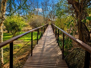 Una passerella in legno con ringhiere metalliche, immersa tra alberi e vegetazione.