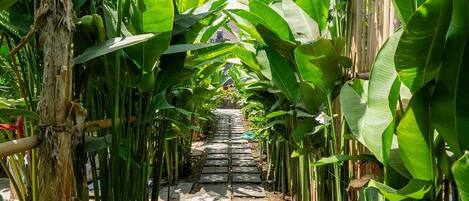 Terrein van de accommodatie