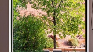Une fenêtre donnant sur un arbre et un paysage désertique.