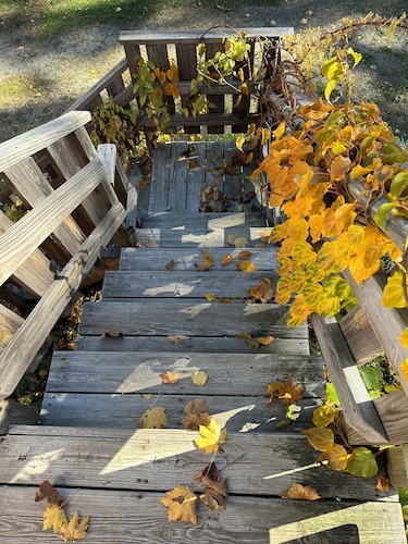 Captain's 2BR Quarters. Walk to everything . No fees. Dogs Free'