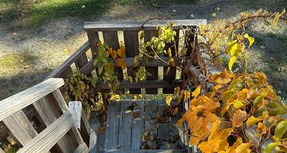 Captain's Quarters 2BR Apartment. Walk to Everything!