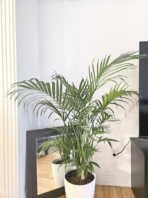 Interior - 3 Bedroom Upper unit House
(Moncton)