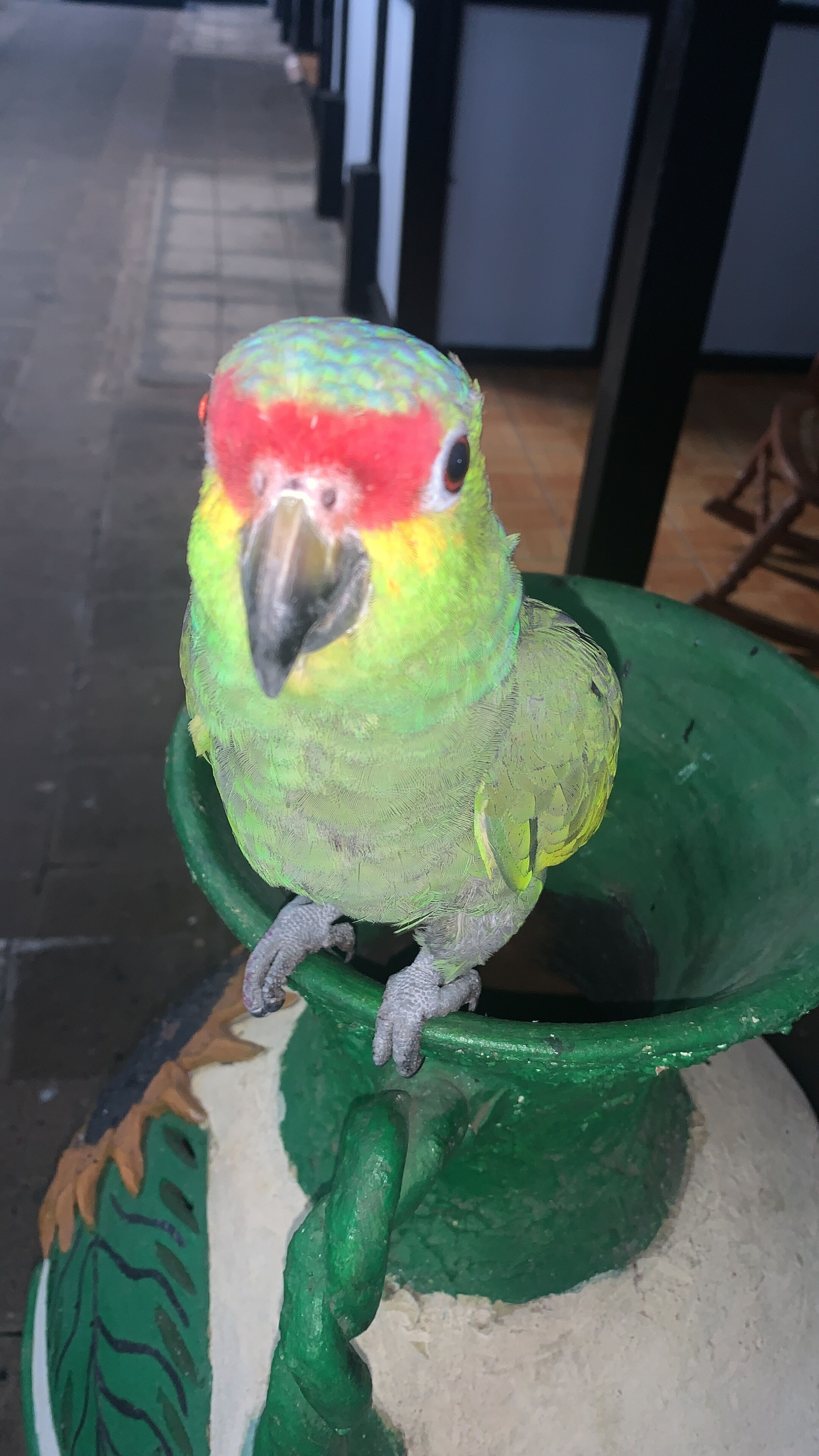 Photo - hotel Managua 8873-3748