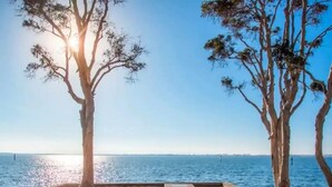 A seaside view with trees and a clear sky.