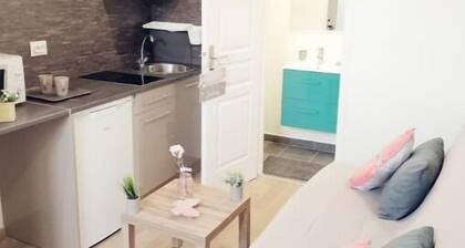Paris / Orly 15 min - Studio Villa les Roses
